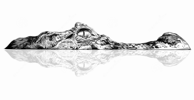 Рисунок крокодила