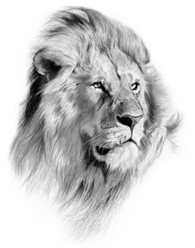 Нарисованная голова льва